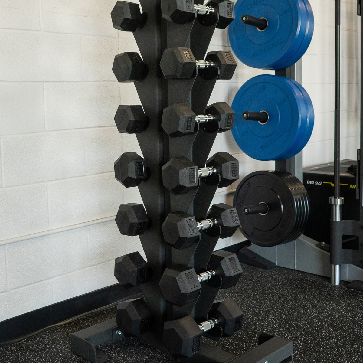 10 Pair Vertical Dumbbell Rack Torque Fitness Commercial