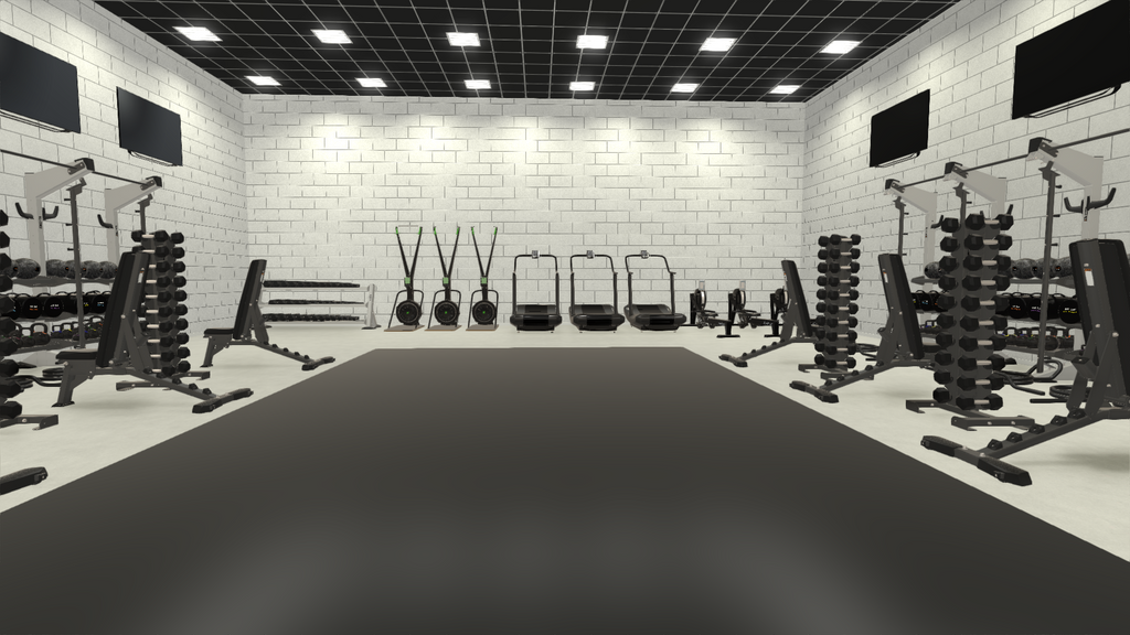 Ultimate Functional Strength Training & Cardio Room