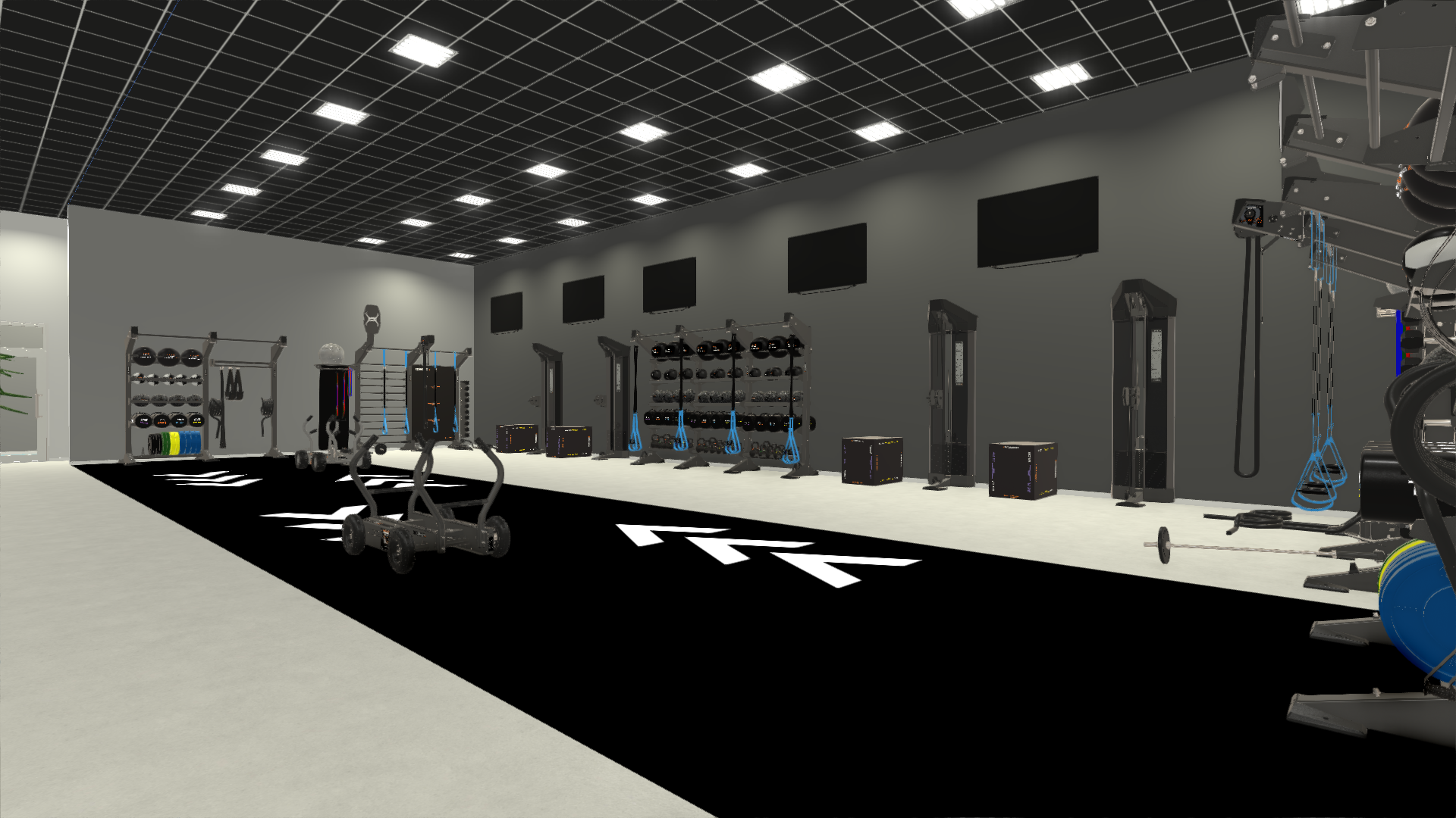 Functional, Cable, & TANK Training Concept