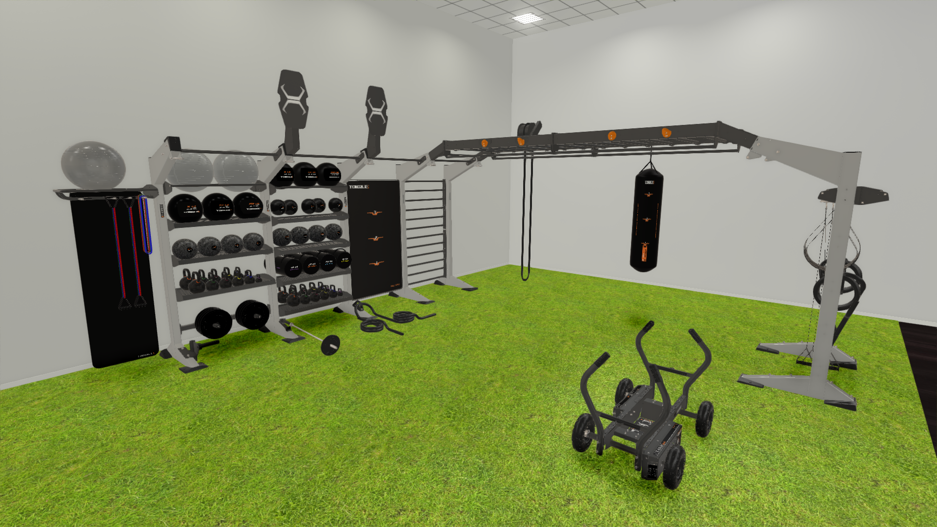 X-Create Bridge Functional Training Turf TANK Zone