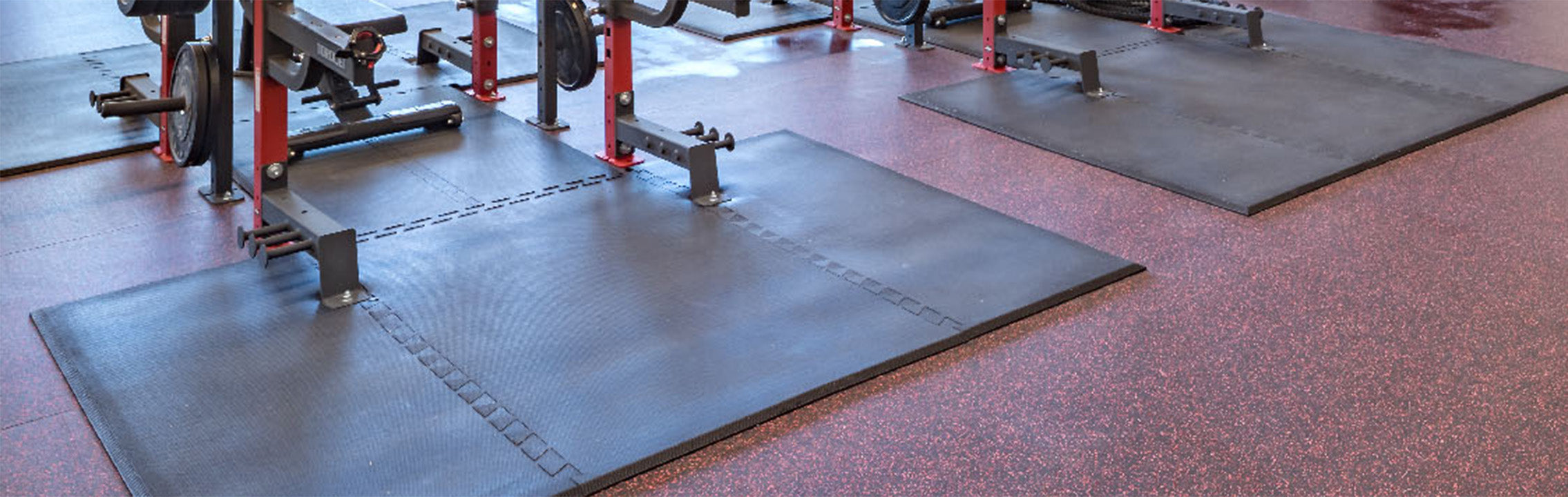 TR RACKS | Platforms & Inserts – Torque Fitness - Commercial