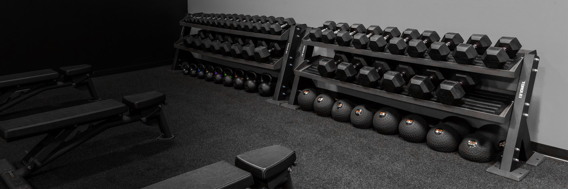 X-Series Storage Stations – Page 3 – Torque Fitness - Commercial