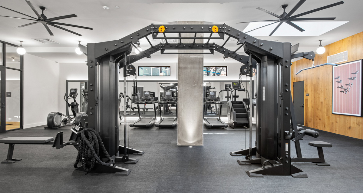 Torque Fitness | Functional Training & Olympic Gym Equipment – Torque ...