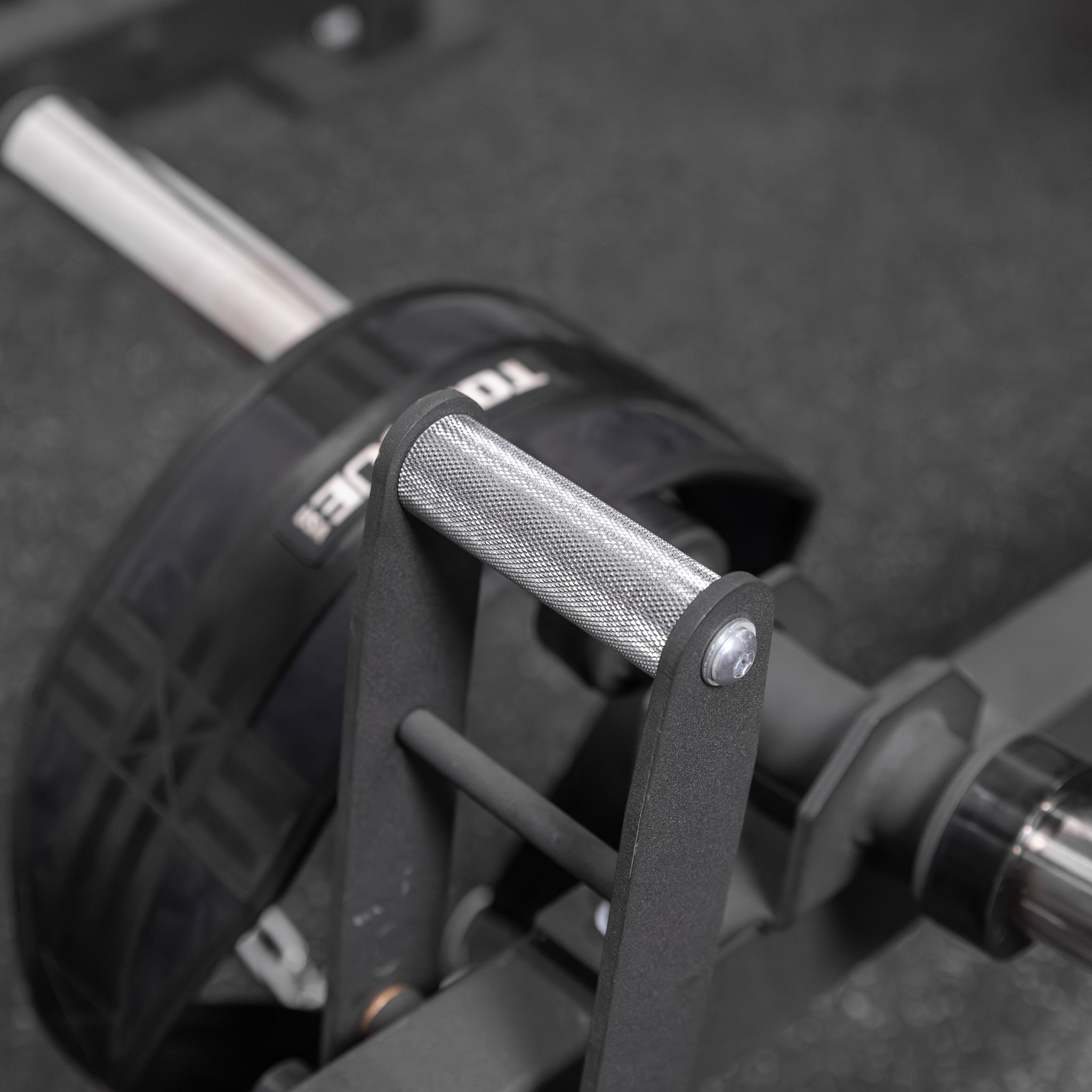 X-CREATE Belt Squat