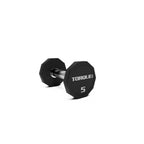 10 Sided Torque Urethane Pro-Style Dumbbell