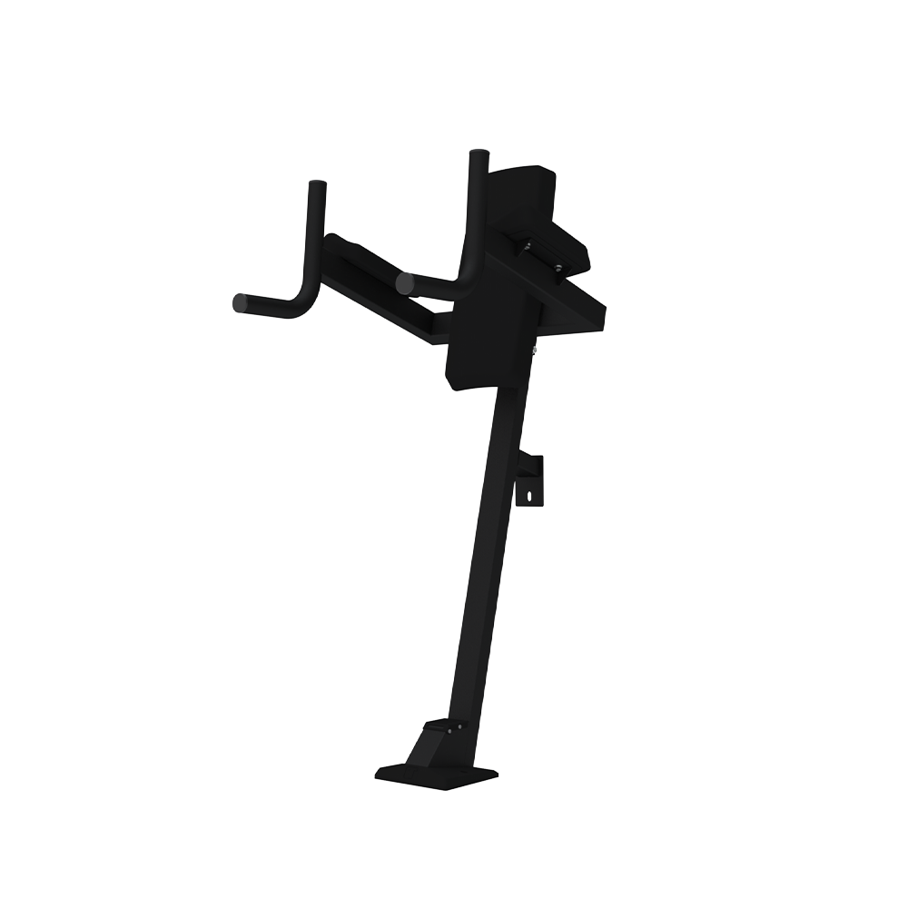 Vertical Knee Raise & Dip
