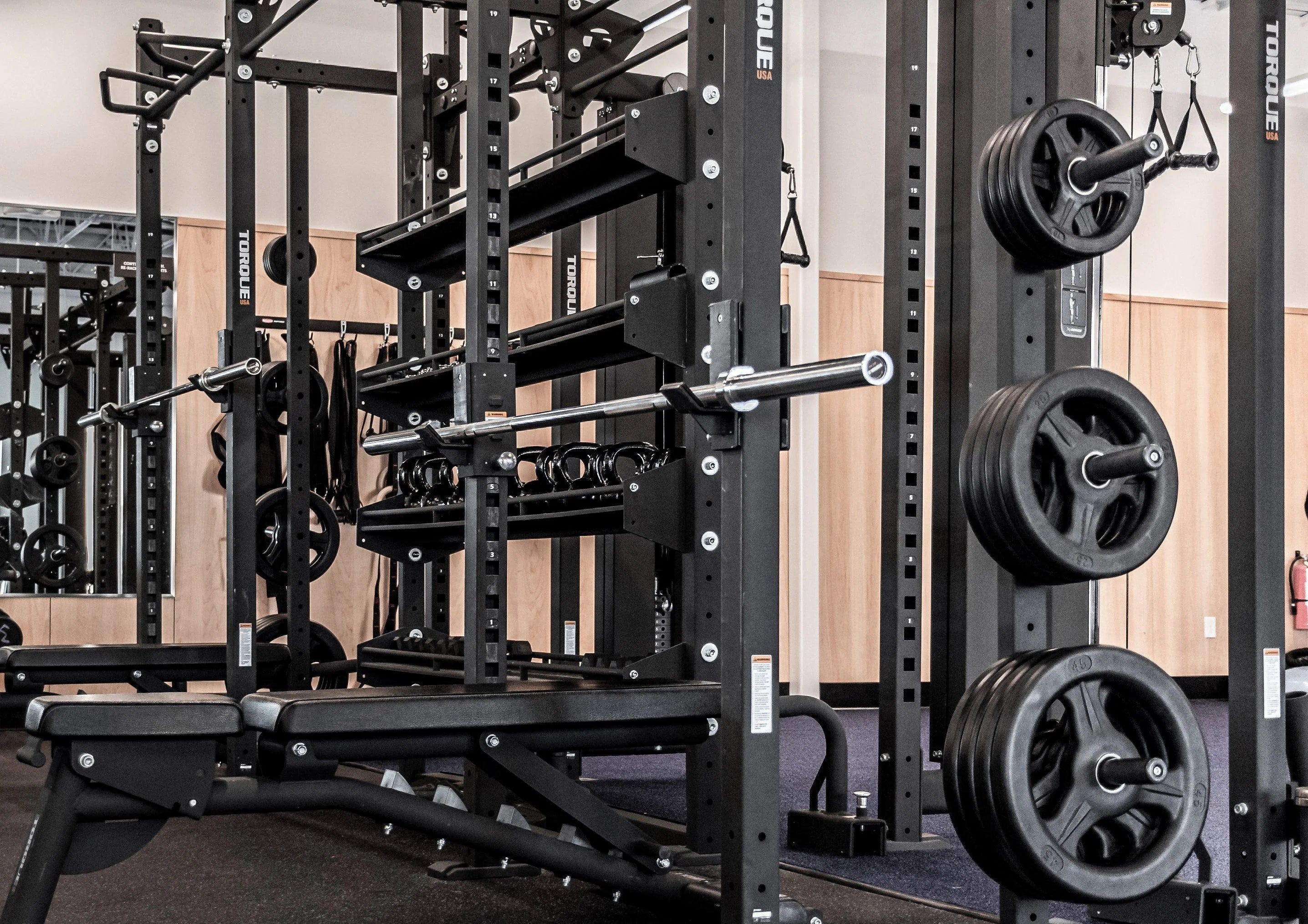 Torque Fitness X-RACK
