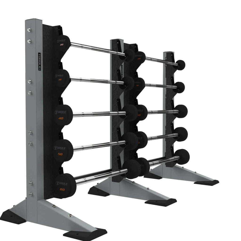 2-Module Wall 10 Barbell Rack