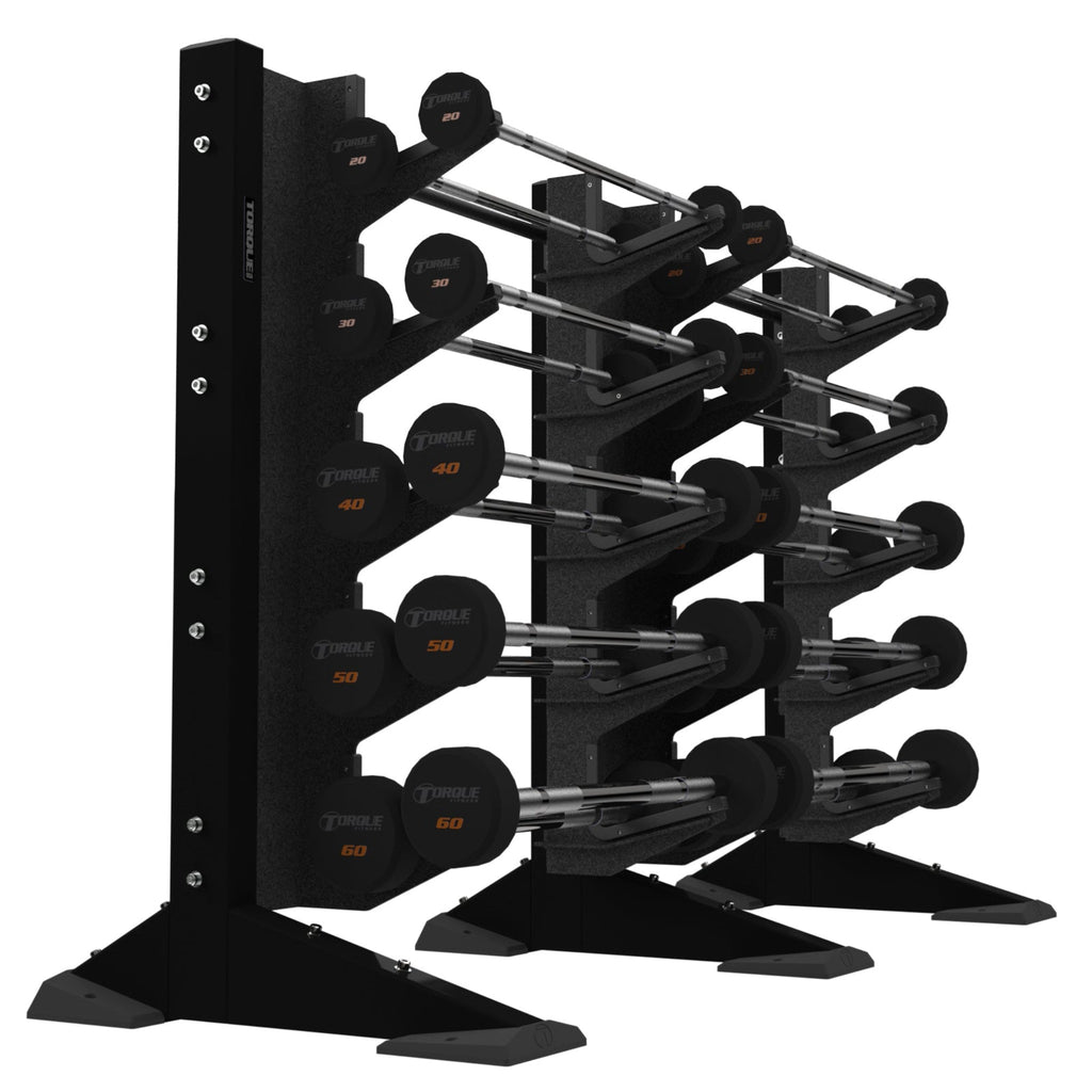 2-Module Wall 20 Barbell Rack