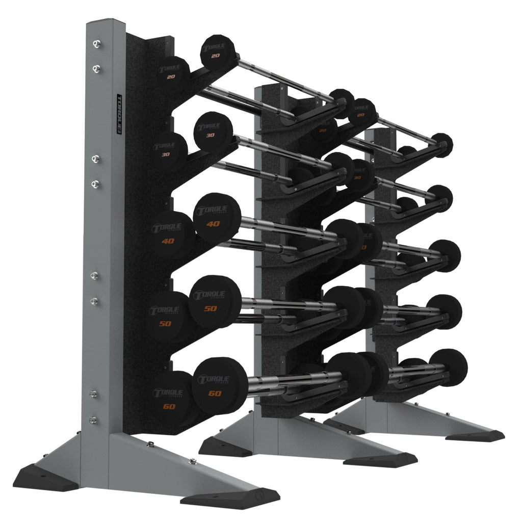 2-Module Wall 20 Barbell Rack
