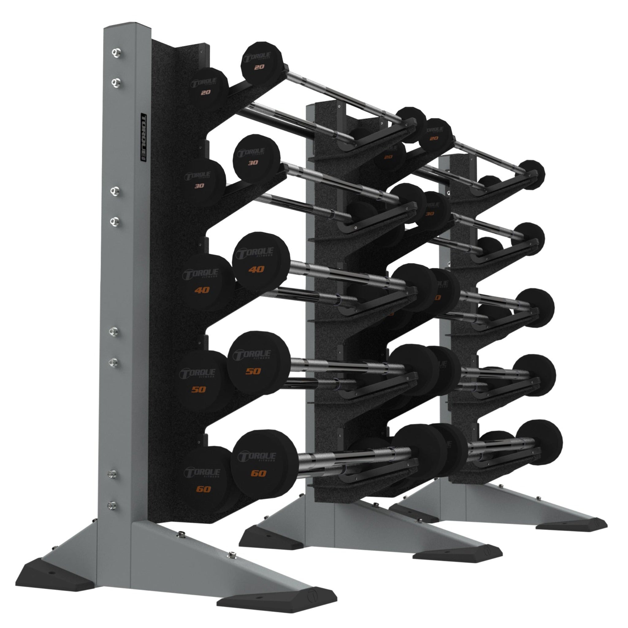 2-Module Wall 20 Barbell Rack