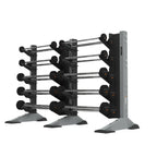2-Module Wall 20 Barbell Rack