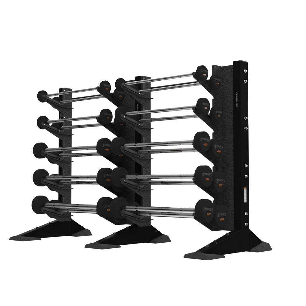 2-Module Wall 20 Barbell Rack